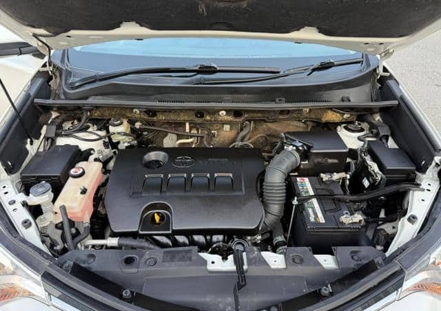 
								2018 TOYOTA RAV4 full									